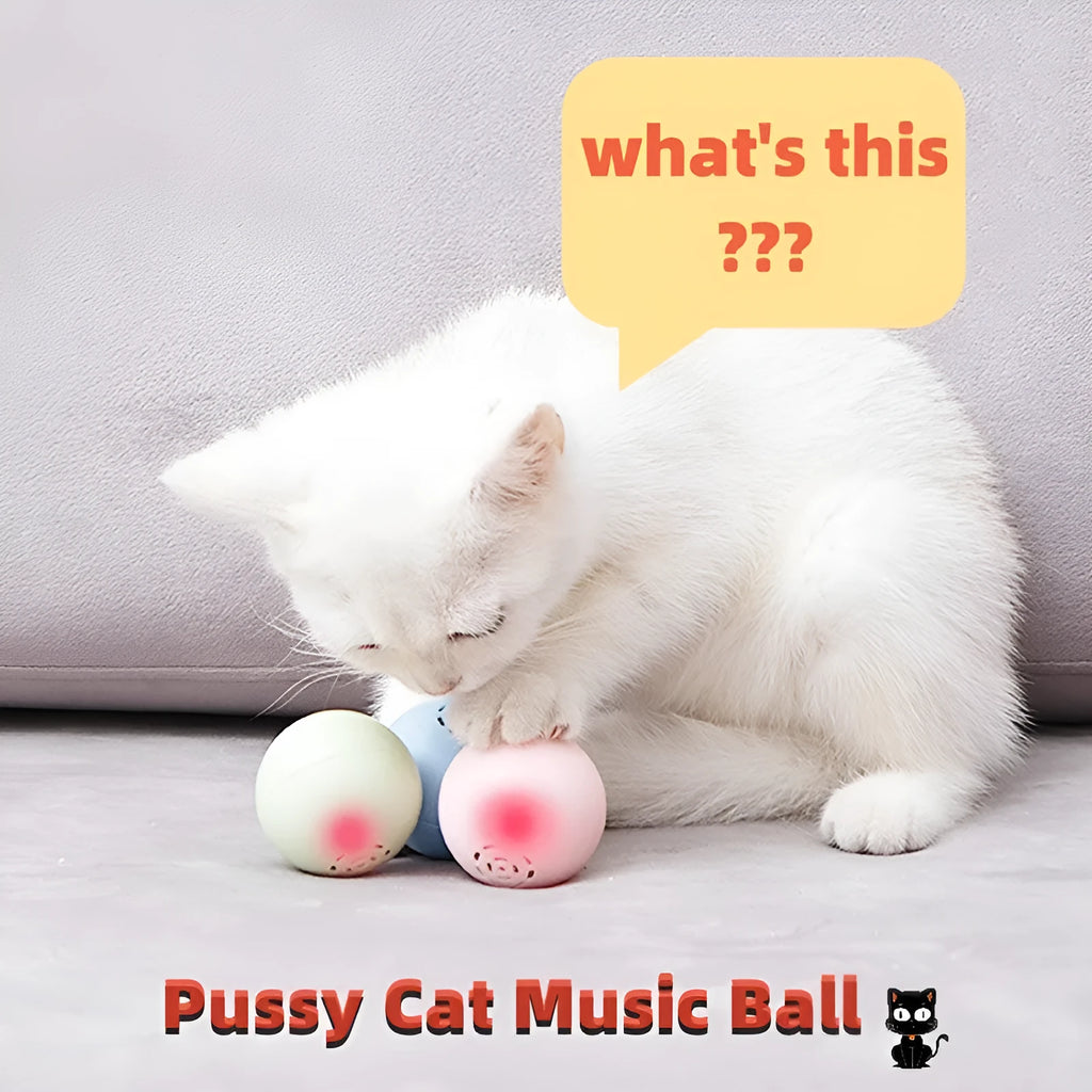 Self-hi pussy cat music ball with sounds and biteable texture in blue, green, and pink 46 mm