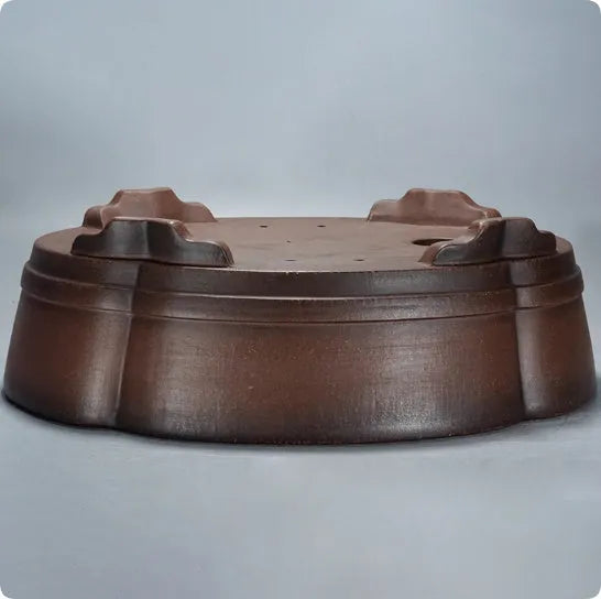 Classical purple clay flower pot with green plant bonsai design measuring 50cm for floor or tabletop display