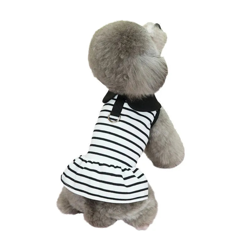 A dog wearing a striped cotton t-shirt and matching skirt summer outfit set.