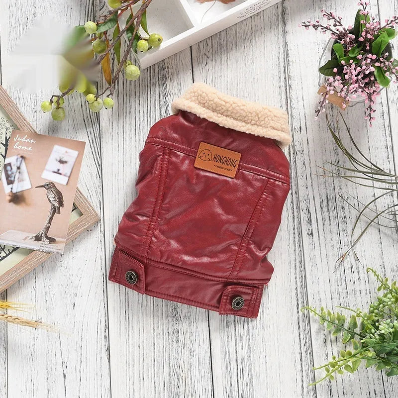 Red fleece-lined PU leather dog coat on pet showing two-legged design and British style