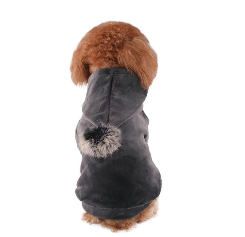 Small dog wearing a blue hot dog costume made from breathable cotton with elastic leg openings.