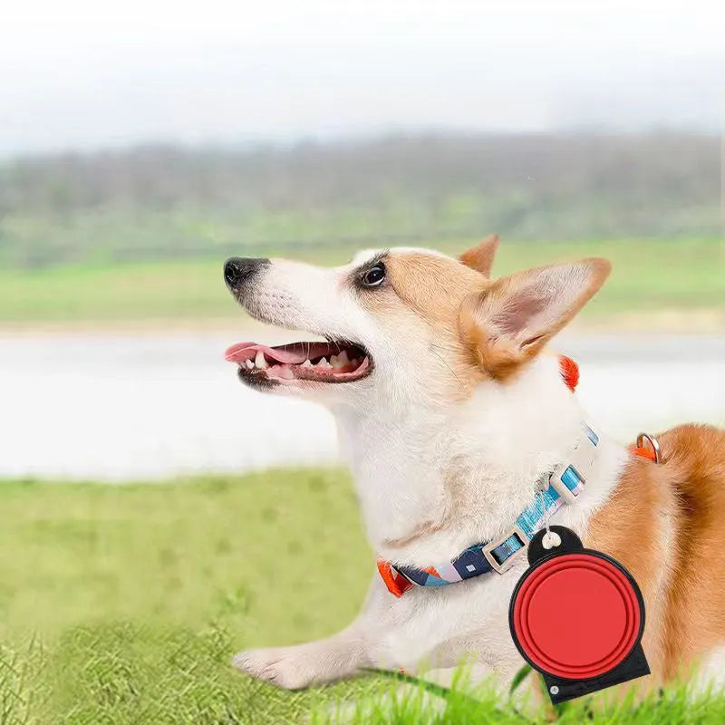 Blue folding silicone double pet bowl with non-slip base, shown open and collapsed flat.