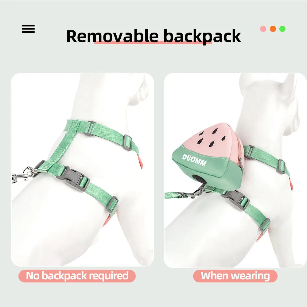 Pet backpack and chest strap set with anti-slip traction rope in green, orange or pink colours