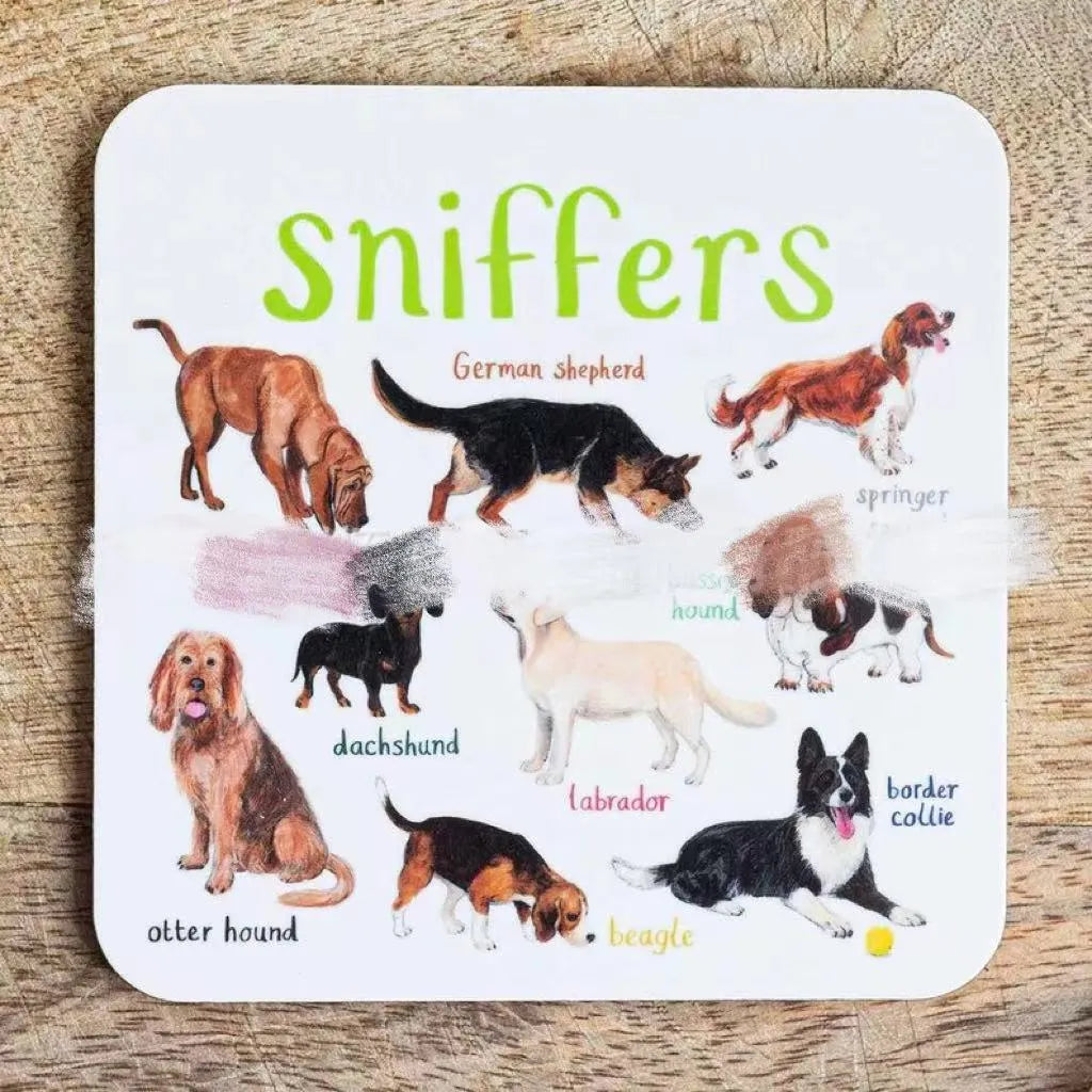 Bird pun coaster set, square PVC drink mats, 10x10x0.35 cm, 6 or 12 pieces