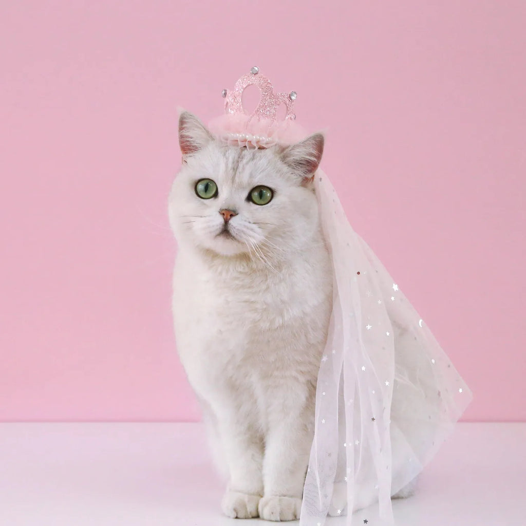 Pet cat wearing princess crown headdress with veil for wedding or birthday costume