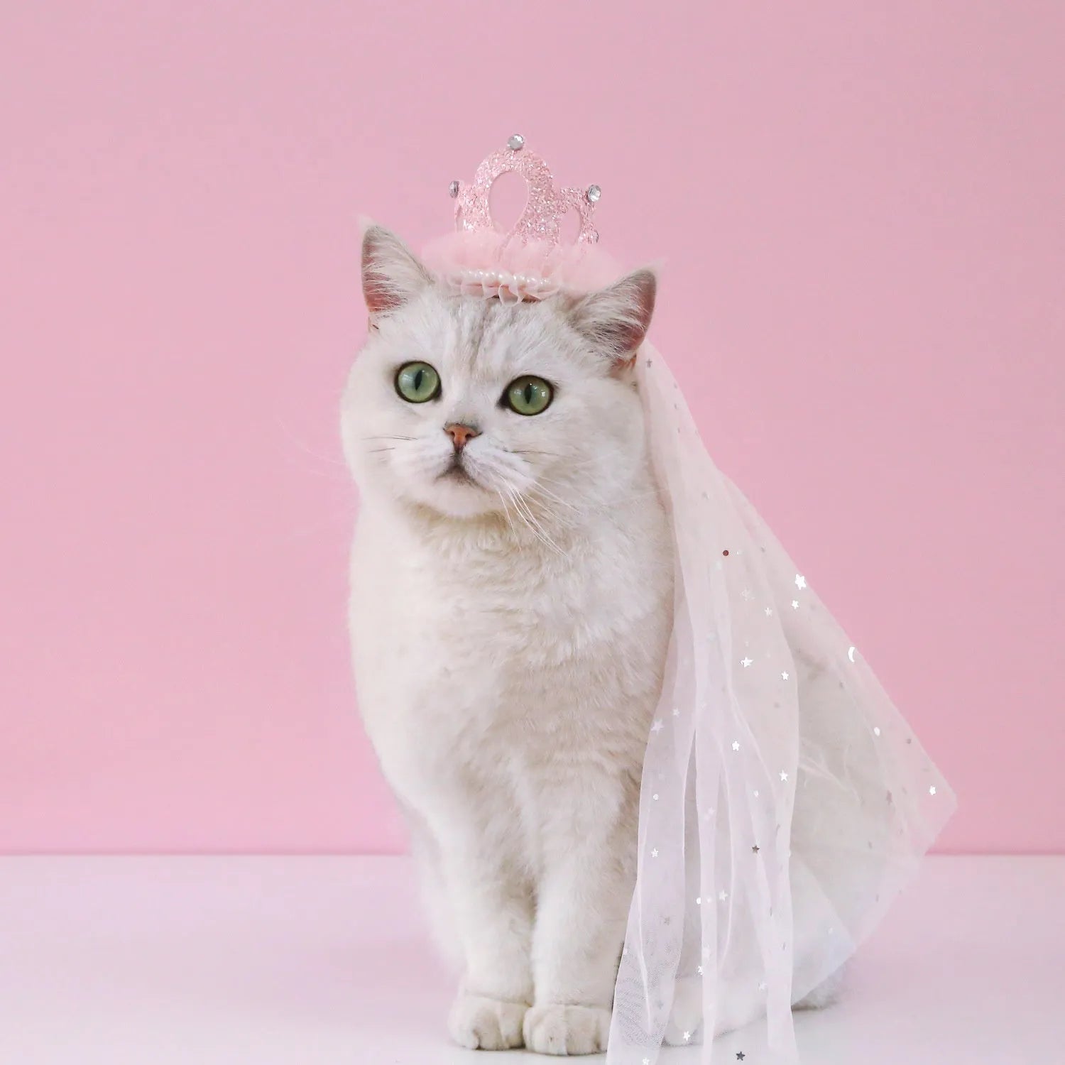 Pet cat wearing princess crown headdress with veil for wedding or birthday costume