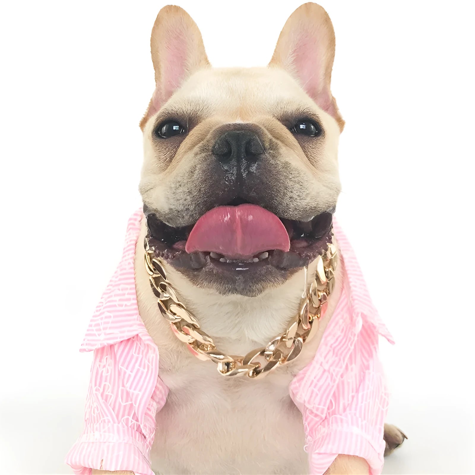 Gold colour chain dog collar ornament with geometric plastic resin design for small to medium dogs