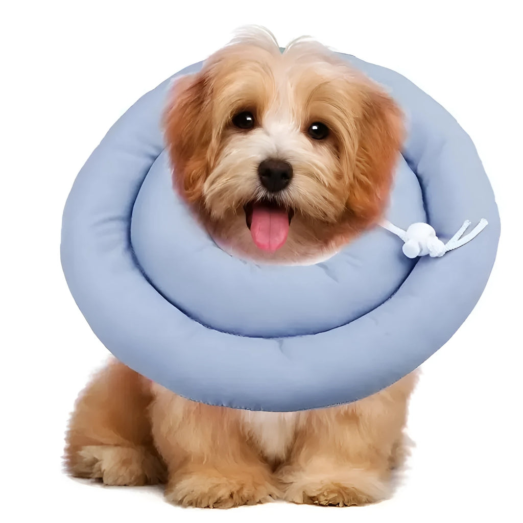 Blue adjustable Elizabethan recovery collar for a dog, showing the spring buckle and padded interior.