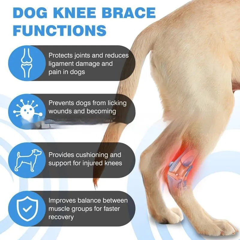 Black polyester dog leg guard for ACL tear rehabilitation in L, M, XL sizes.
