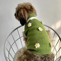 Green flower blossom dog sweater on a small pet showing detailed sizing options