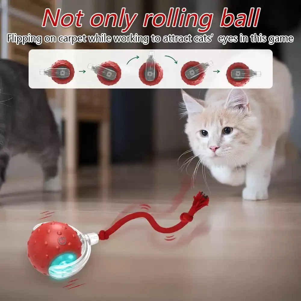 Red interactive cat toy ball with automatic rolling motor for indoor feline entertainment