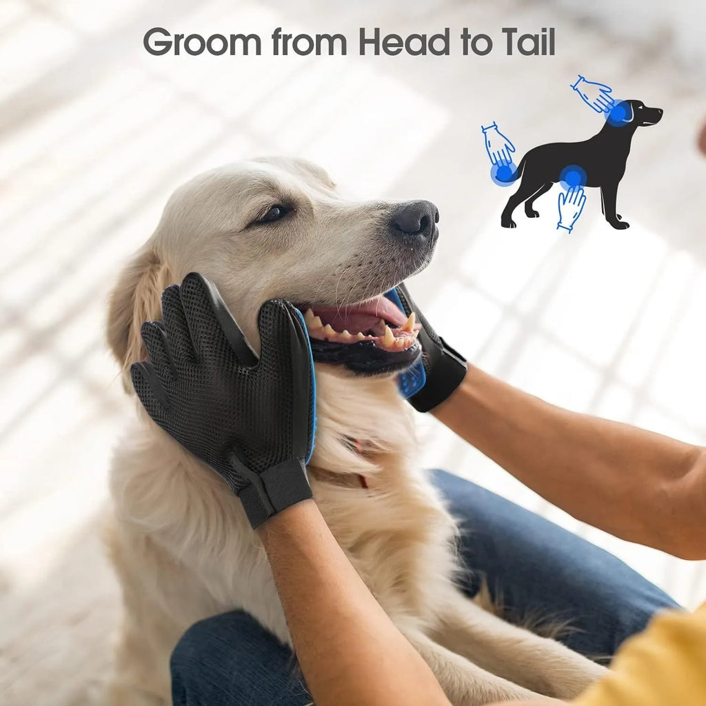 Blue pet grooming gloves with silicone grooming tips for dogs cats and horses