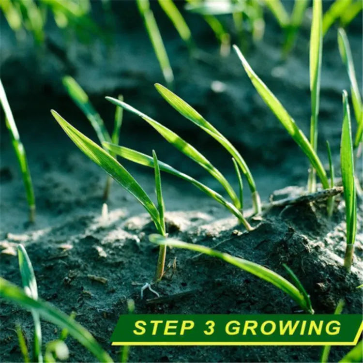 Biodegradable grass seed mat 20x300cm rolled out on bare soil showing wind proof and soil consolidation functions