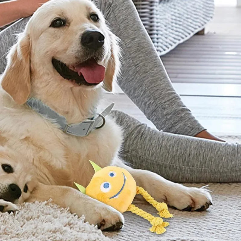 Blue and yellow cartoon dog squeaky toys with knot design for chewing