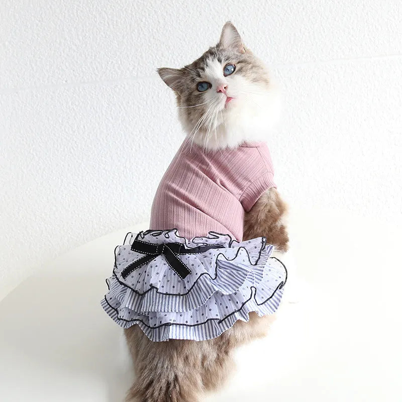 Polka dot lace cake dress pet clothing in princess style for small dogs