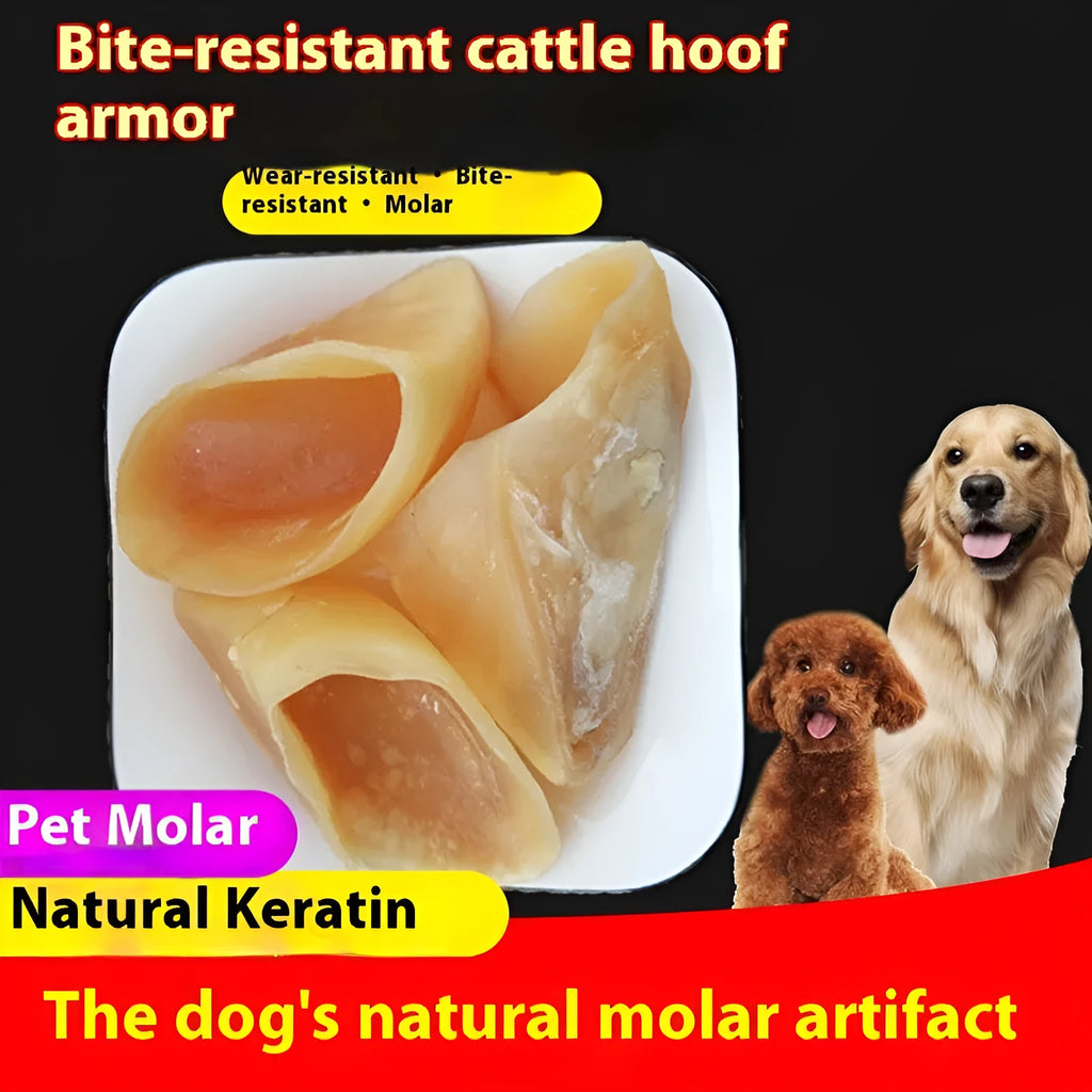 Natural cowhide dog chew grinding rod in hoof shell colour, large size for medium to large dogs.