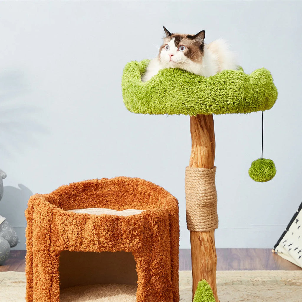 Solid wood cat climbing frame with sisal scratching posts and integrated tree house in cute style for indoor cats