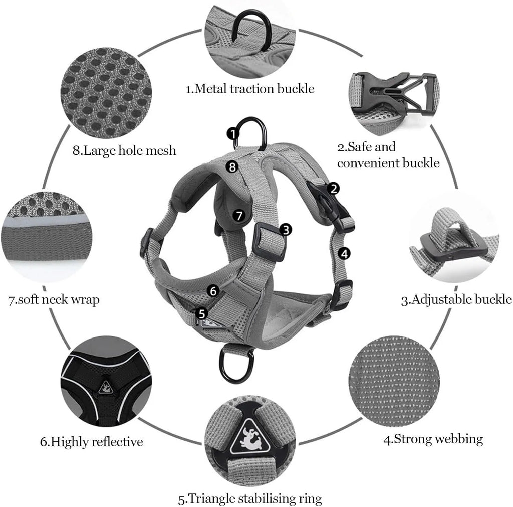 Grey adjustable cat chest harness and leash made from soft mesh with reflective strips.