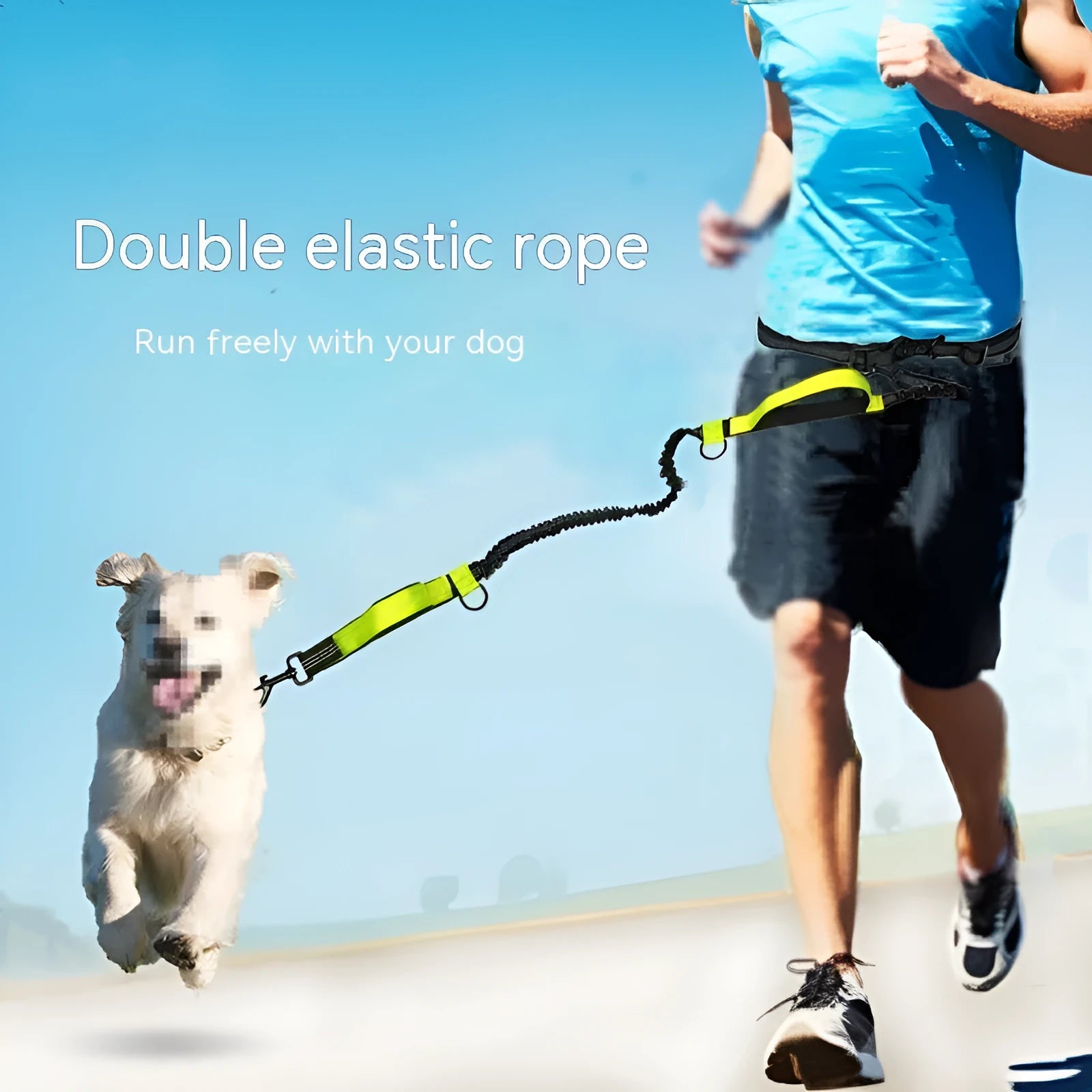 Polyester pet running lead extended, showing adjustable waist belt and clip, in fluorescent green colour.