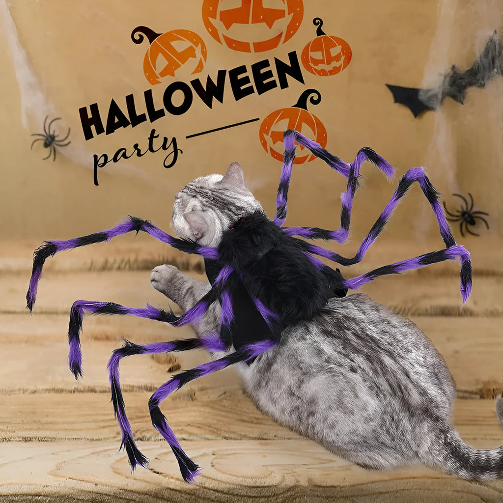 Grey polyester spider costume for a small dog on Halloween.