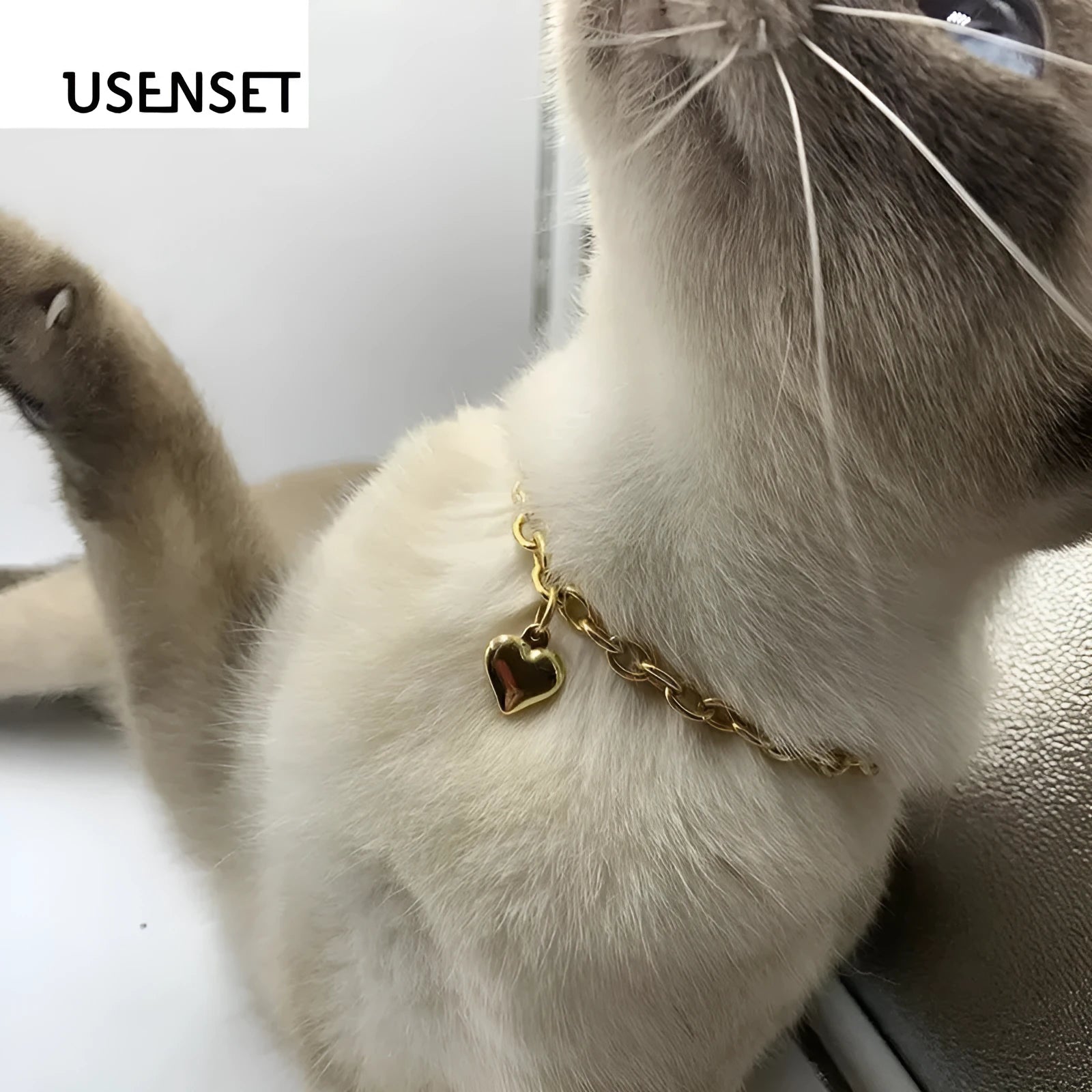 Stainless steel pet cat dog love heart pendant necklace in gold and silver finishes