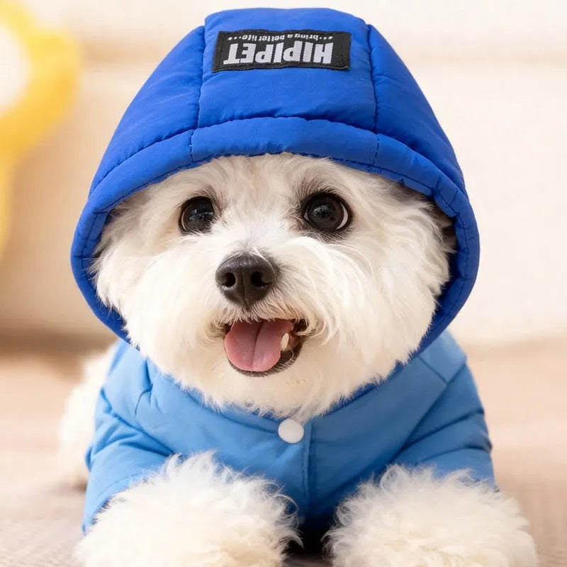 Blue padded dog snowsuit with hood and Hello bear print on front for small and medium breeds