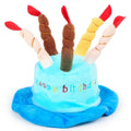Blue and pink dog birthday hats for canine birthday party celebrations