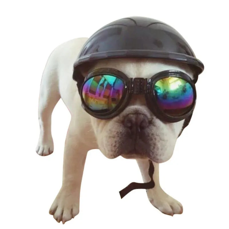A pink plastic dog hat designed like a motorcycle helmet on a white background.