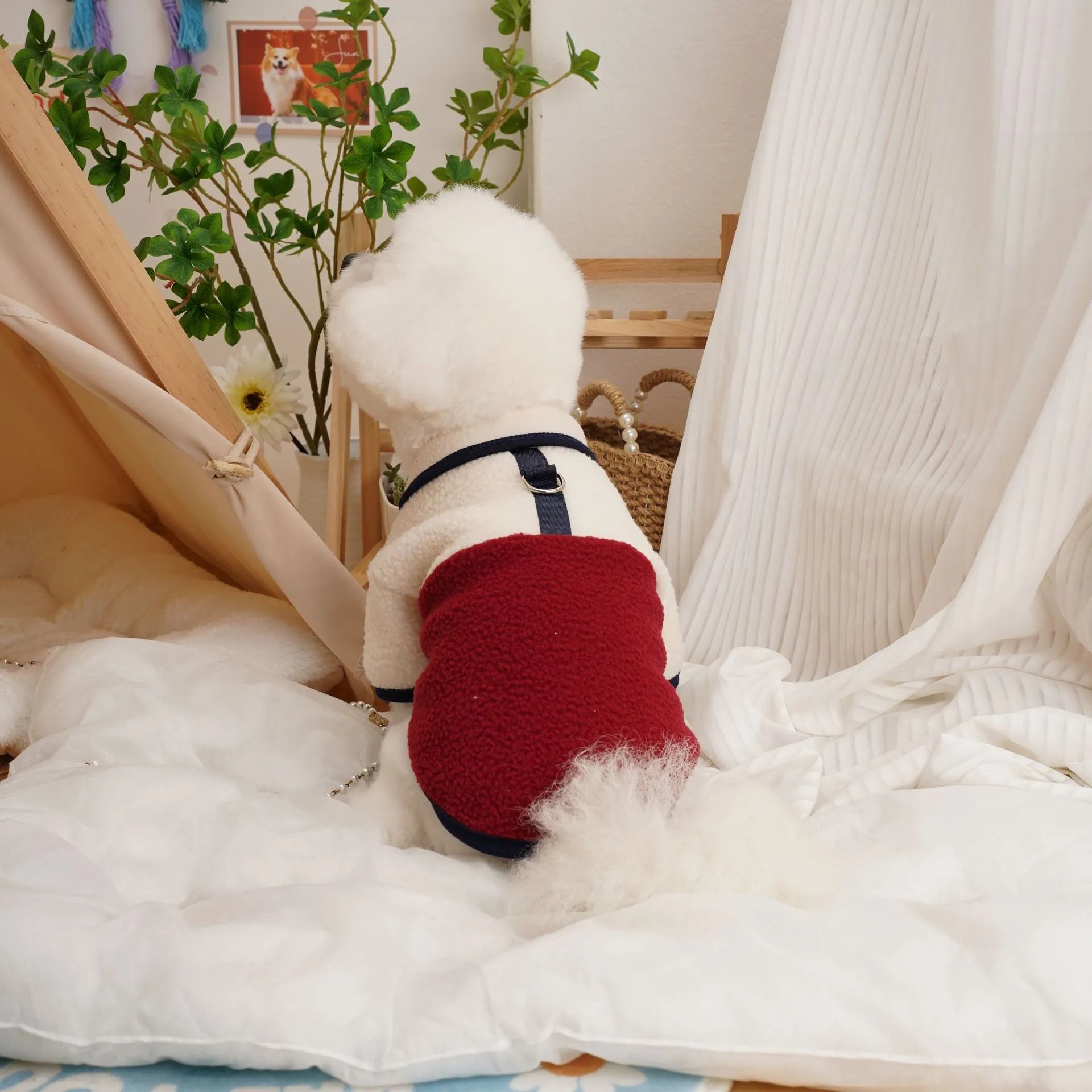 Lambswool fleece pet sweatshirt in caramel colour on a small dog.