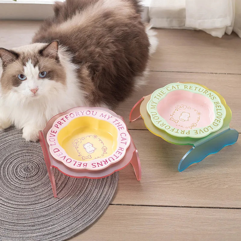 Ceramic cat bowl with acrylic lace detail and anti-tumble neck in pink and blue colour options