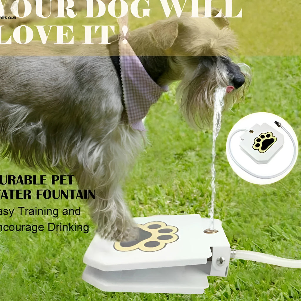 Paw-activated stainless steel dog water fountain, 22x21.5x5cm, with garden hose connector and copper valve