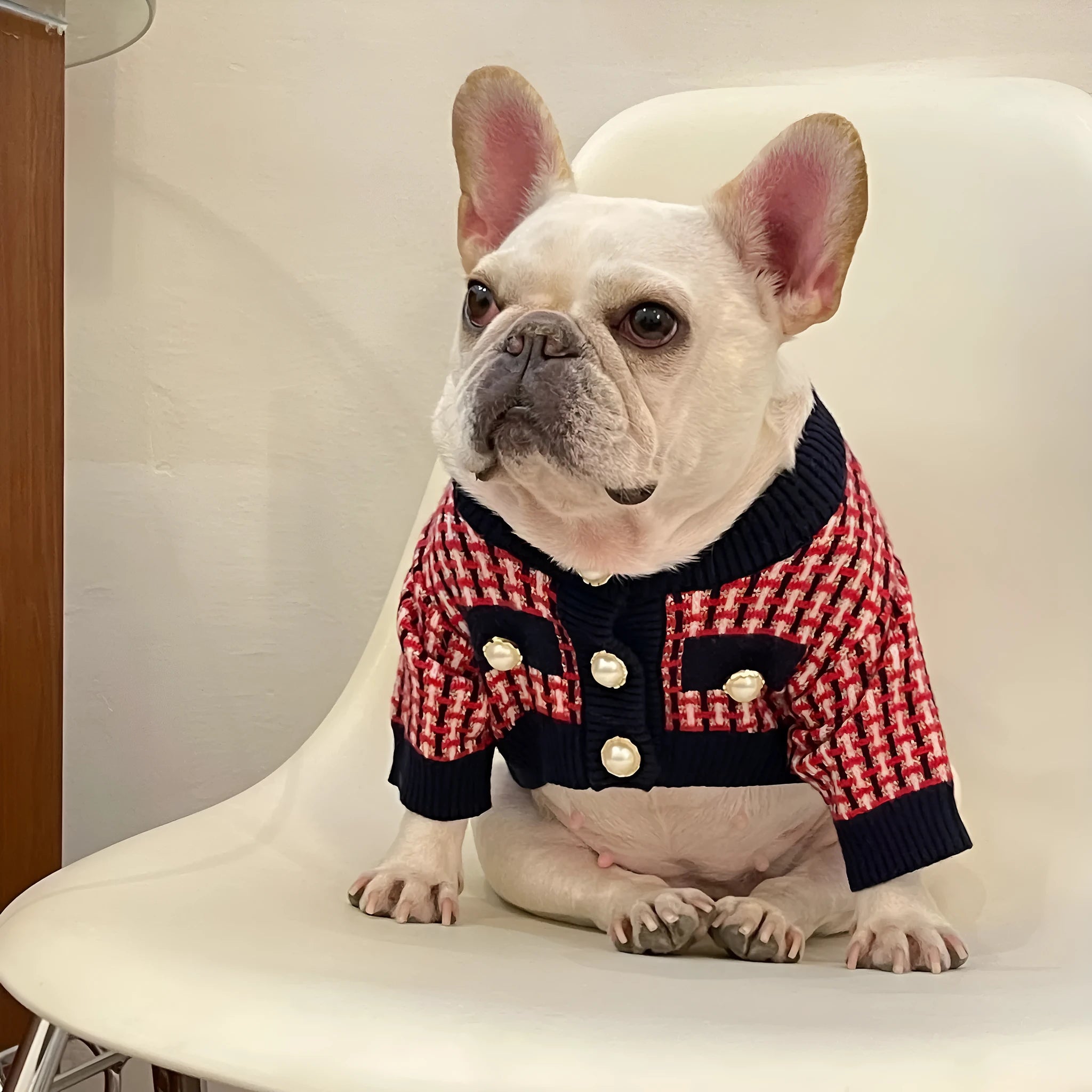 Red wool dog sweater with cute print for winter, available in sizes S to XXL
