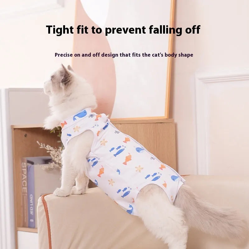 Cat wearing a patterned post-operative recovery suit with Velcro fastenings.