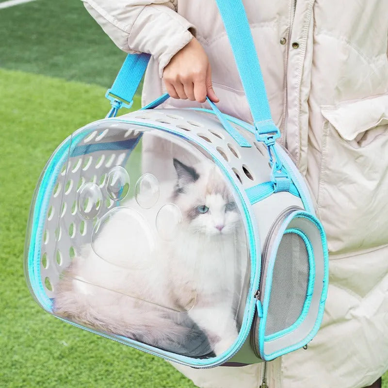 Large transparent hard-shell backpack pet carrier for cats, shown in violet colour.