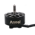 Multi-axis flight model motor for aircraft models with metal construction