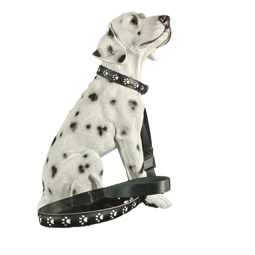 A dog wearing a black polyester LED collar with a glowing multi-colour light and a paw print pattern.