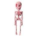 3D printed skull refrigerator magnet in multiple colours measuring 18cm high by 4.5cm wide
