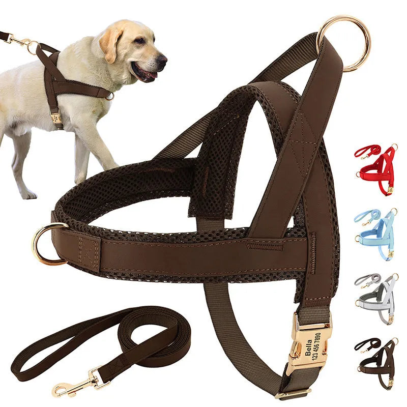 Lettering Large Dog Vest Chest Harness in Black – adjustable breathable secure fit for large active breeds