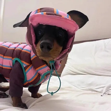 Dirty pink striped polyester dog vest and matching hat set for small to medium dogs.