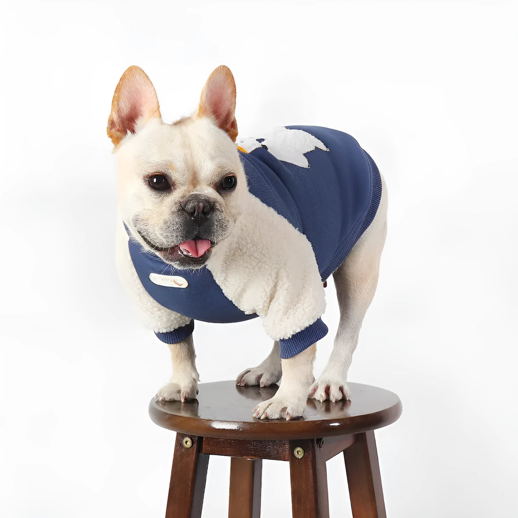 Dark blue fleece-lined winter dog coat for cold weather in cotton material