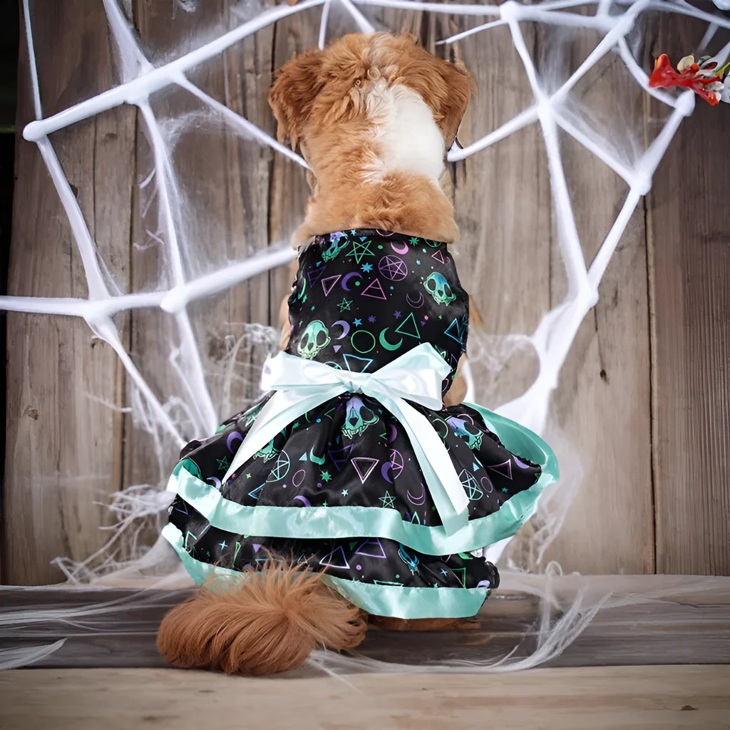 Halloween dog skirt costume in colourful pumpkin print, size medium, on a mannequin.