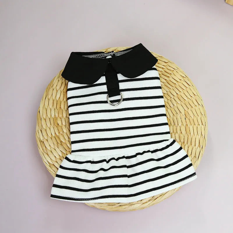 A dog wearing a striped cotton t-shirt and matching skirt summer outfit set.