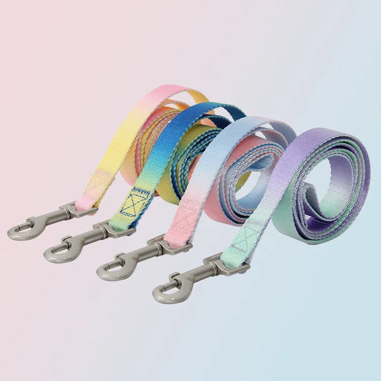 Nylon dog leash set showing gradient colour options including pink blue, yellow blue, pink yellow, and purple green combinations
