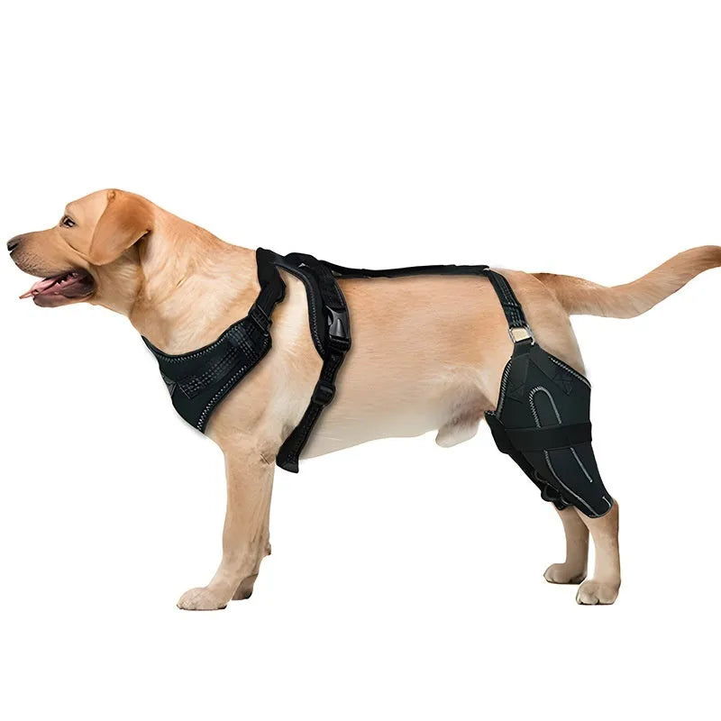 Black polyester dog thigh protective sleeve with adjustable metal support for postoperative care