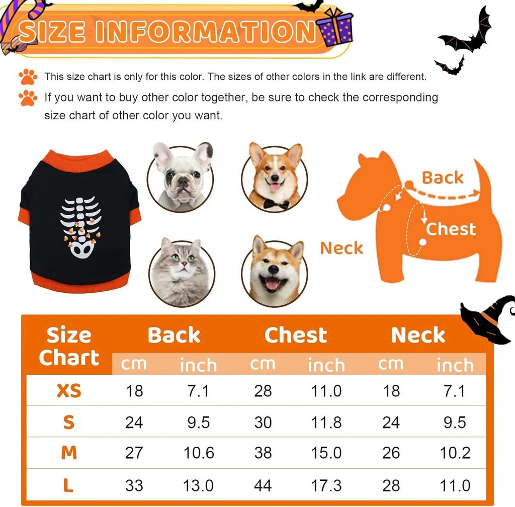 Small dog wearing an orange Halloween skeleton print sweatshirt with ribbed cuffs.