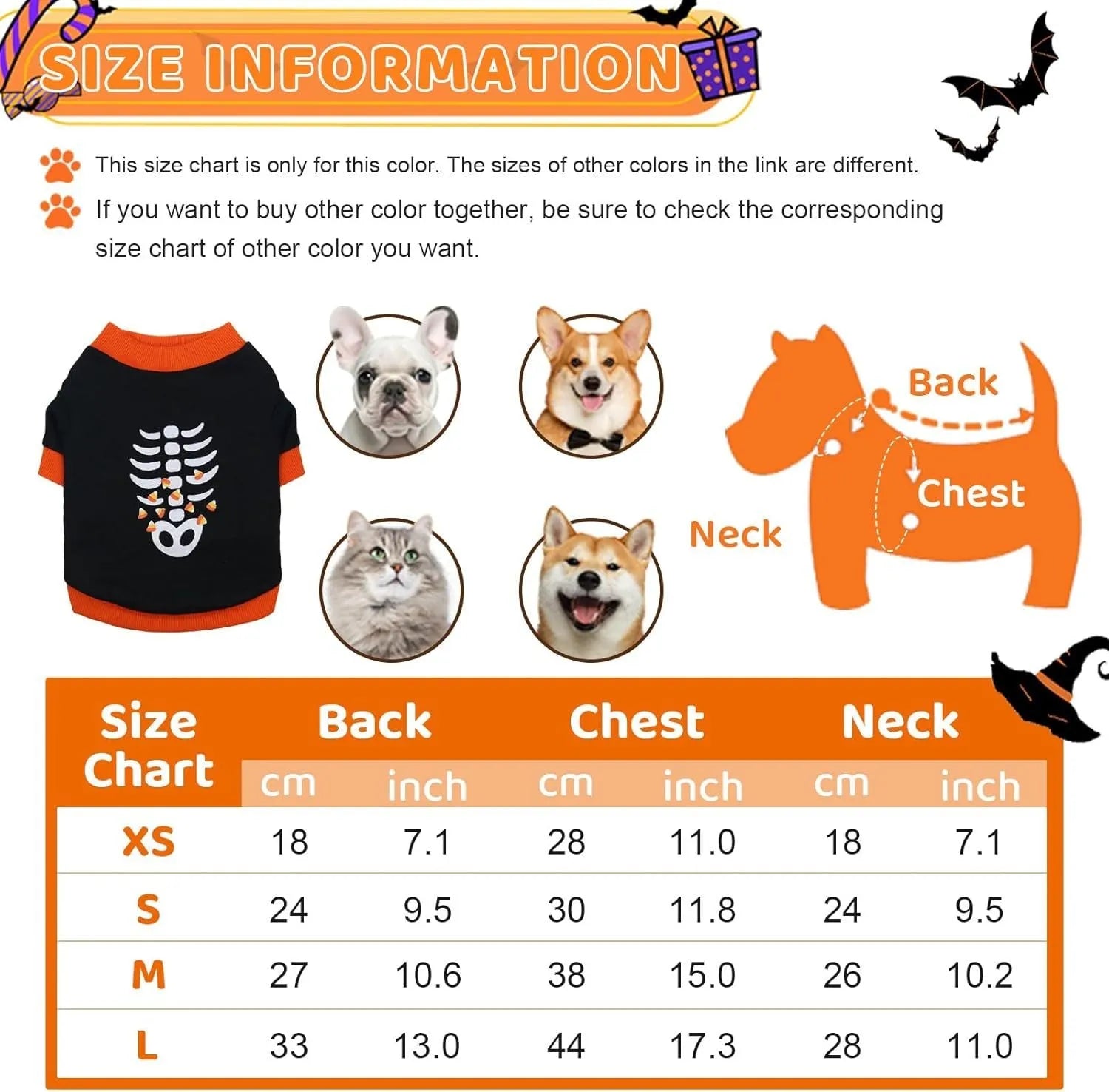 Small dog wearing an orange Halloween skeleton print sweatshirt with ribbed cuffs.