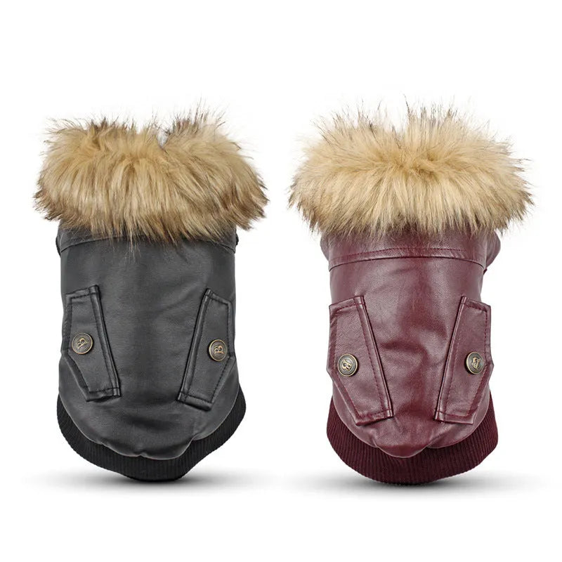 Black leather dog coat with a fur-trimmed collar on a dog, showing British style.