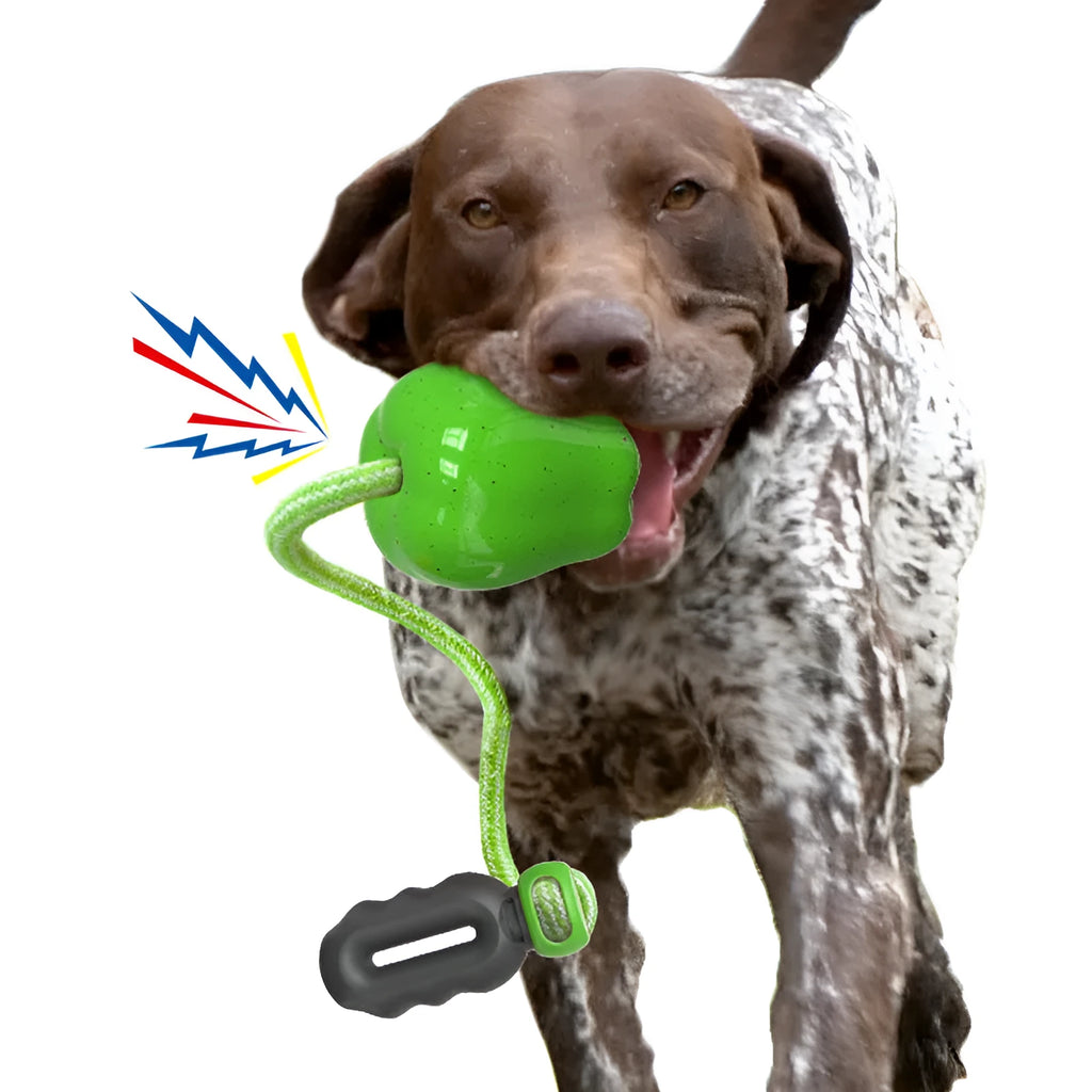 Green and red apple-shaped plastic dog chewing toys for outdoor use