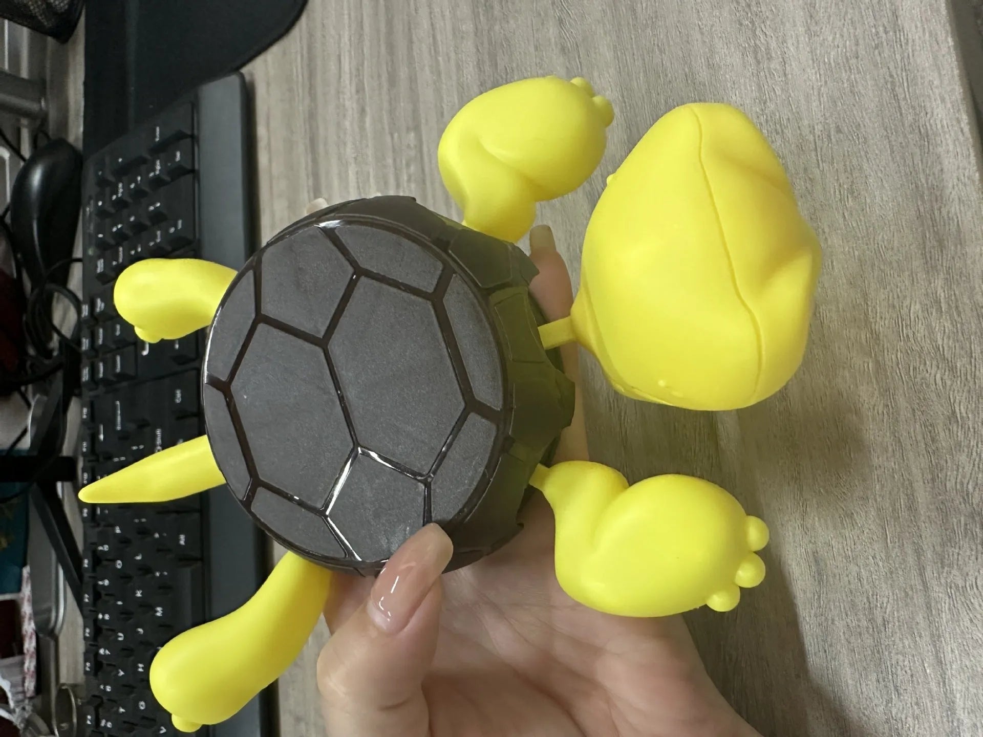 ABS turtle design drink coaster in light green on a table