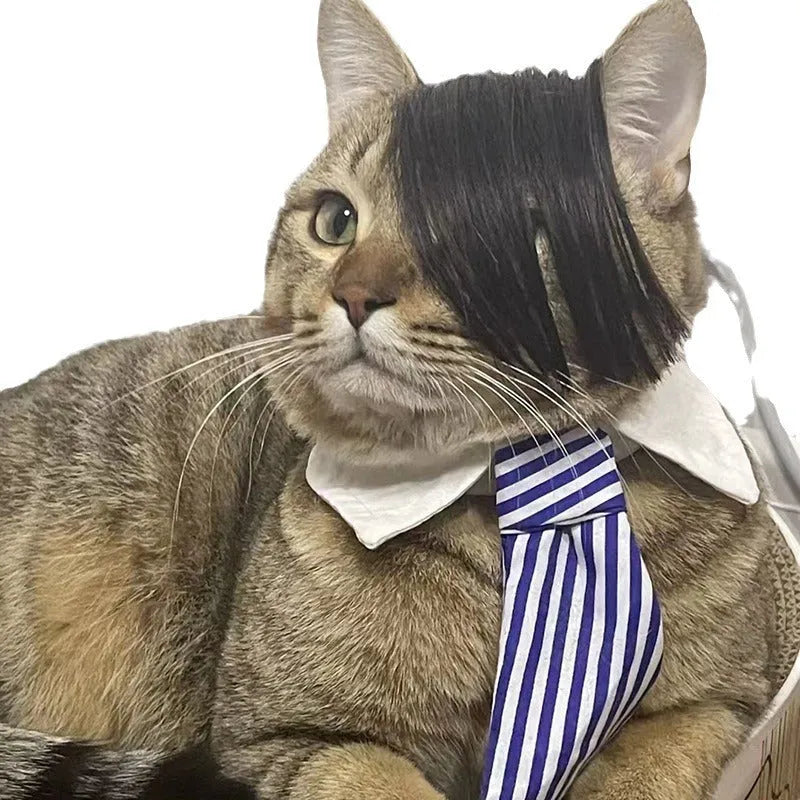 Black fox-style pet wig with imitation braid for cats on a white background.